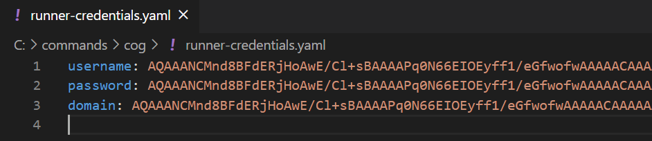 runner credentials1.png